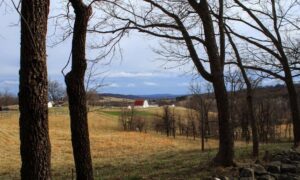 Rural farmland and a barn in Virginia for a due diligence survey of agricultural land