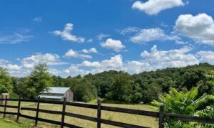 Old wooden fence along an agricultural field viewed from a residential survey